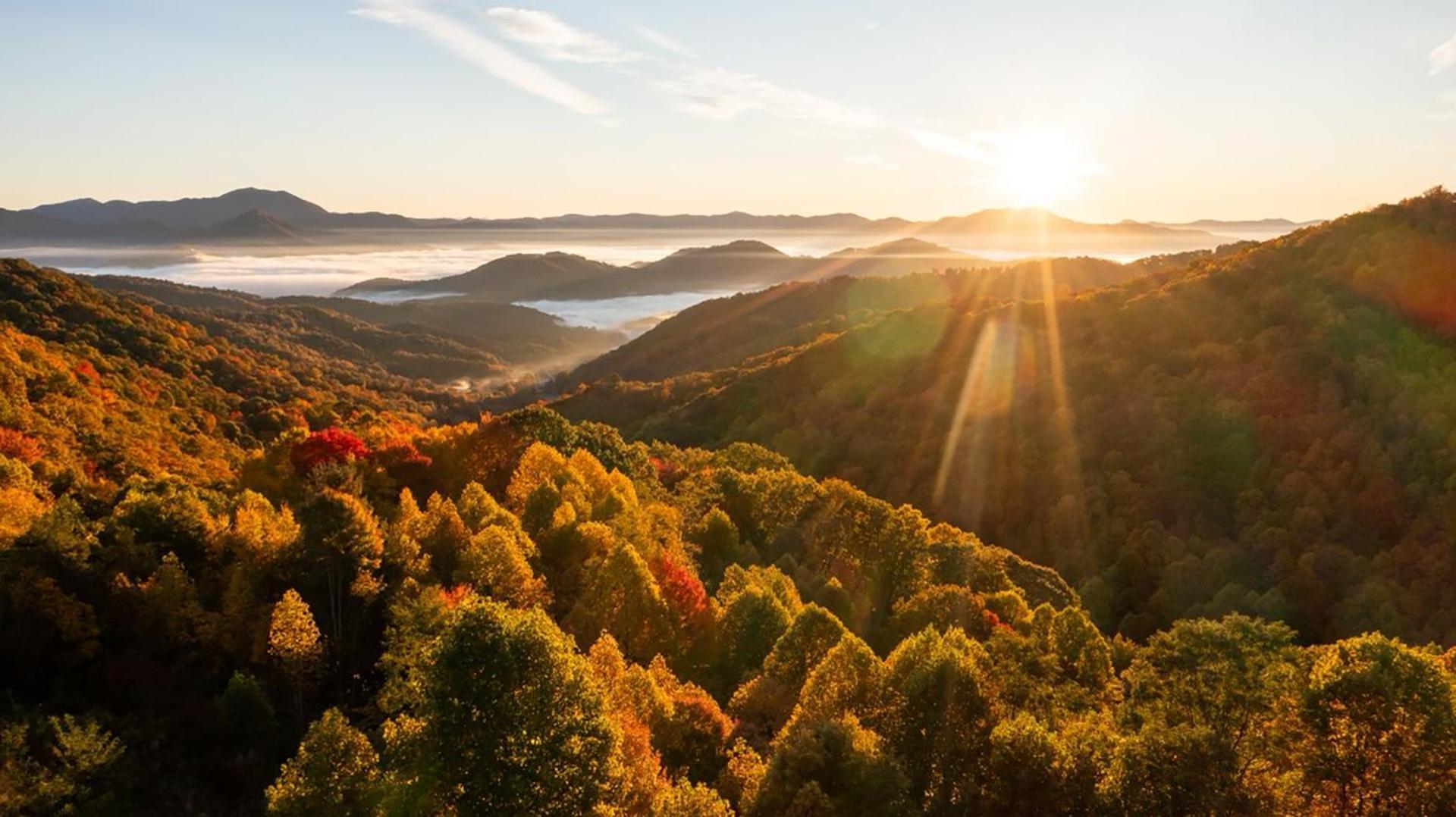 韦恩斯维尔 Elk & Embers Mountain Hideaway酒店 外观 照片