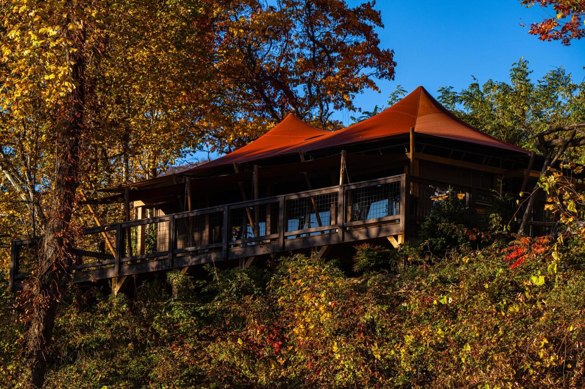 韦恩斯维尔 Elk & Embers Mountain Hideaway酒店 外观 照片
