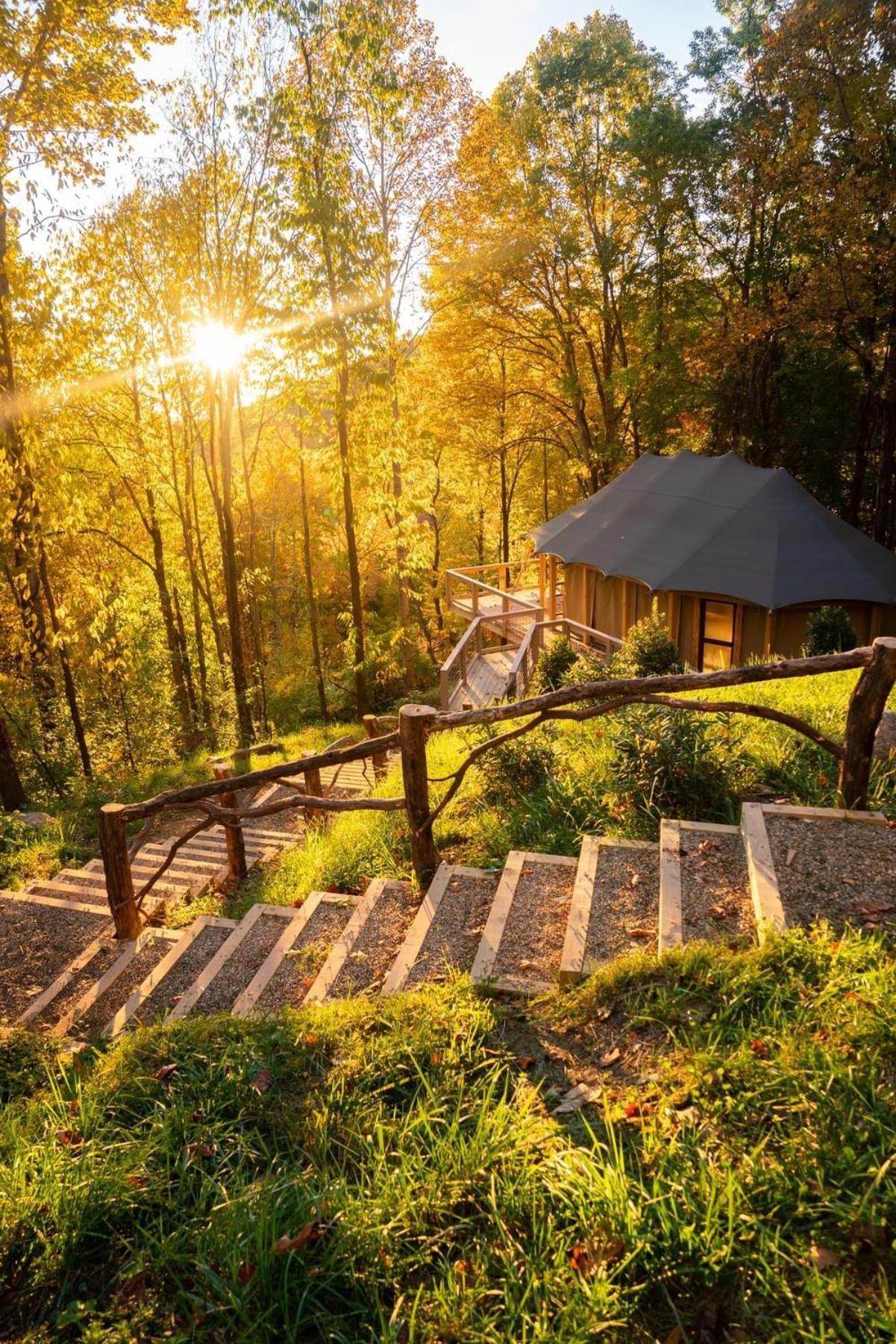 韦恩斯维尔 Elk & Embers Mountain Hideaway酒店 外观 照片